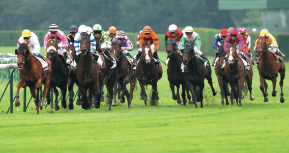 Champ Total Et Champ Réduit Au PMU : Tiercé, Quarté Et Quinté