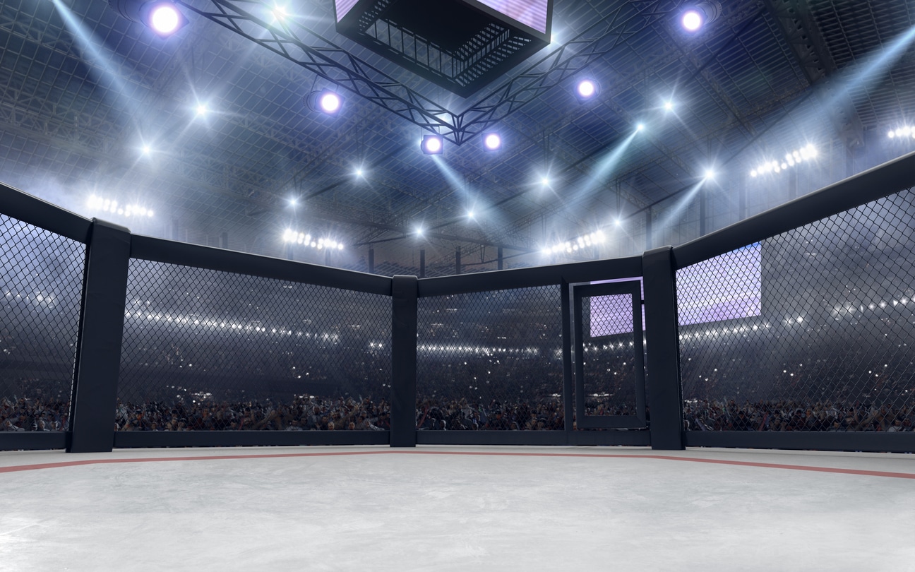 ufc 302